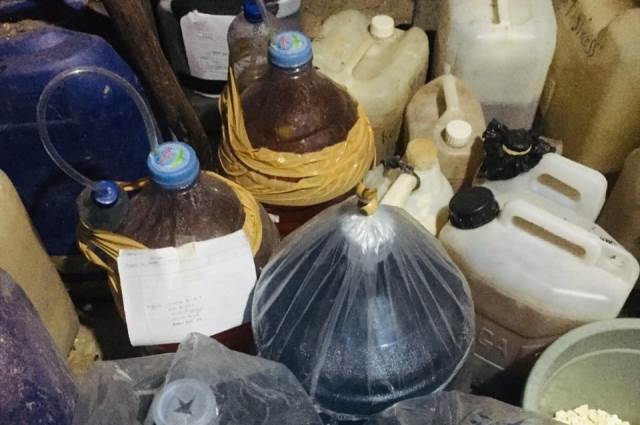 Arek Biologi UMLA Teliti Kulit Nanas Solusi Tumpahan Minyak Mentah 1