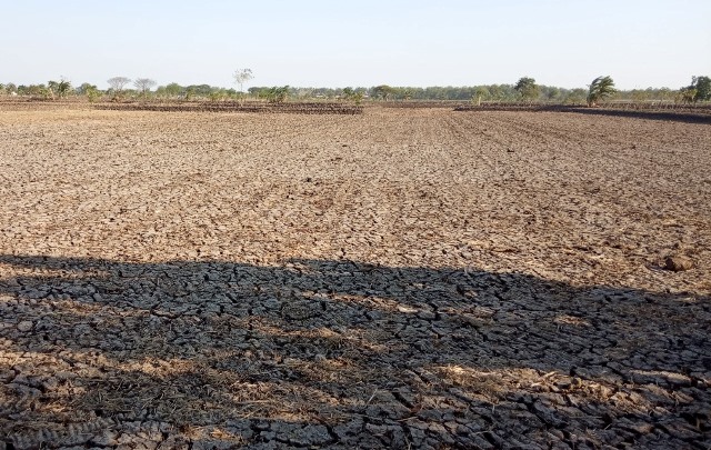 Petani Cabe Klitih Lamongan Lega, Dosen UMLA PKM Irigasi Otomatis Tenaga Surya   2