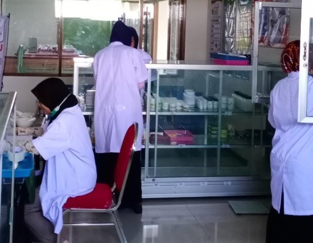 Ten Stars Prodi S1 Farmasi UMLA Luas Peluang Kerja 1
