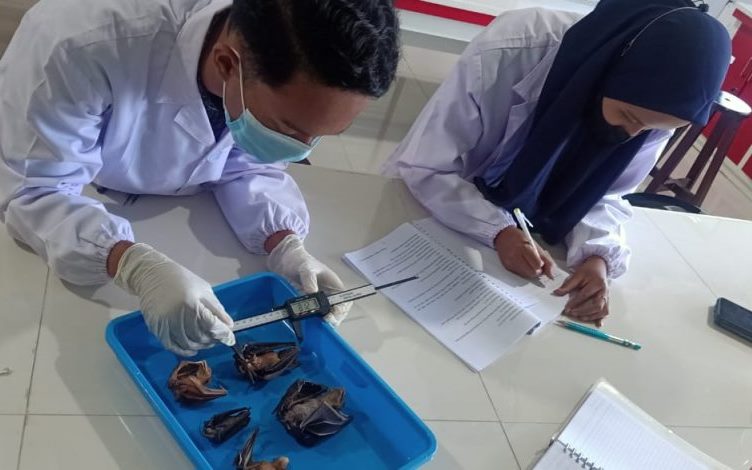 Mahasiswa Biologi UMLA Magang di PT Pertamina,  Pendamping Community Development Officer 2