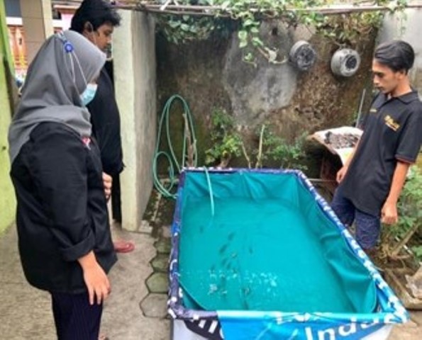 PMM Mitra Dosen Prodi Akuakultur UMM, Tingkatkan Sistem Budidaya Ikan Nila 2