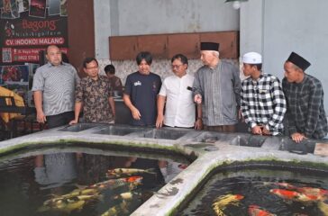IKAN GANJAR (2)