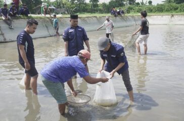 KOI IKAN (2)