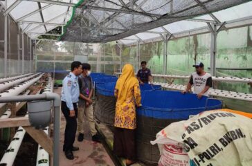 PKM IKAN (3)