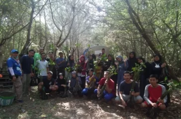 mangrove