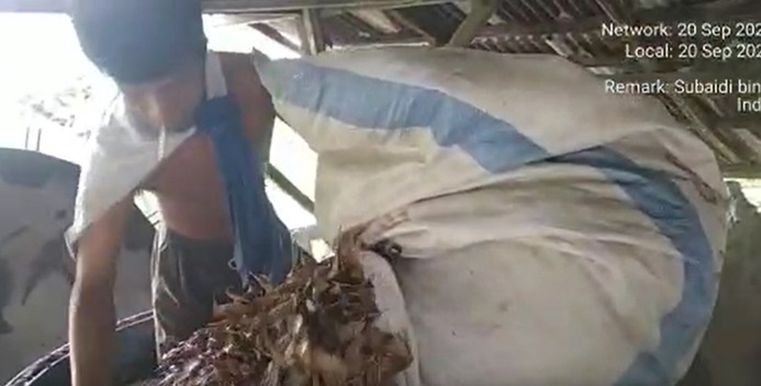 PPM Polinema Atasi Masalah Petani Cengkeh, Garap Alat Pendingin Destilasi Sistem Sprayer Energi Surya 3