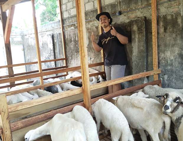 Dimas Arek EP UMM Juragan Kambing-Domba Inspirasi Sukses Mahasiswa 2