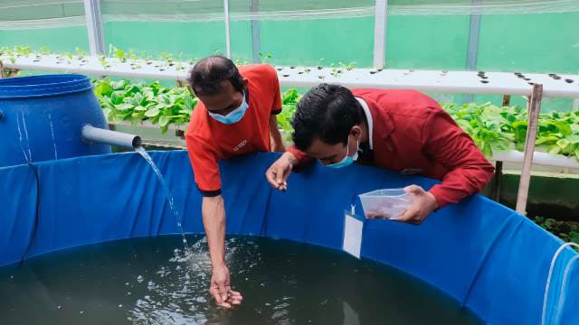 Berdayakan Warga Lapas Budidaya Ikan, PKM PM Prodi Akuakultur UMM Lolos Pimnas 2