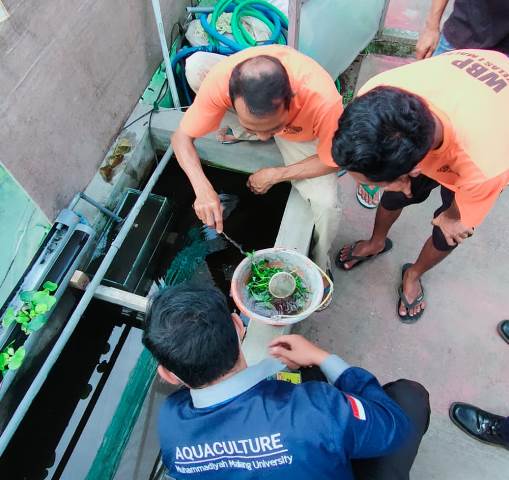 Berdayakan Warga Lapas Budidaya Ikan, PKM PM Prodi Akuakultur UMM Lolos Pimnas 3