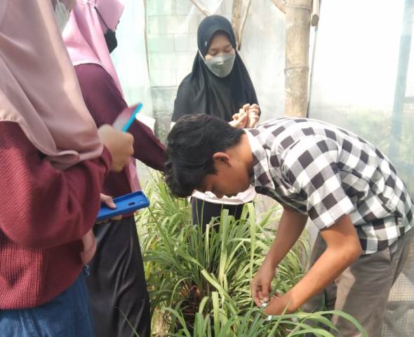 Dosen Biologi UMLA Raih Hak Paten Produk Serai Anti Hipertensi 1 Dosen Biologi UMLA Raih Hak Paten Produk Serai Anti Hipertensi 1