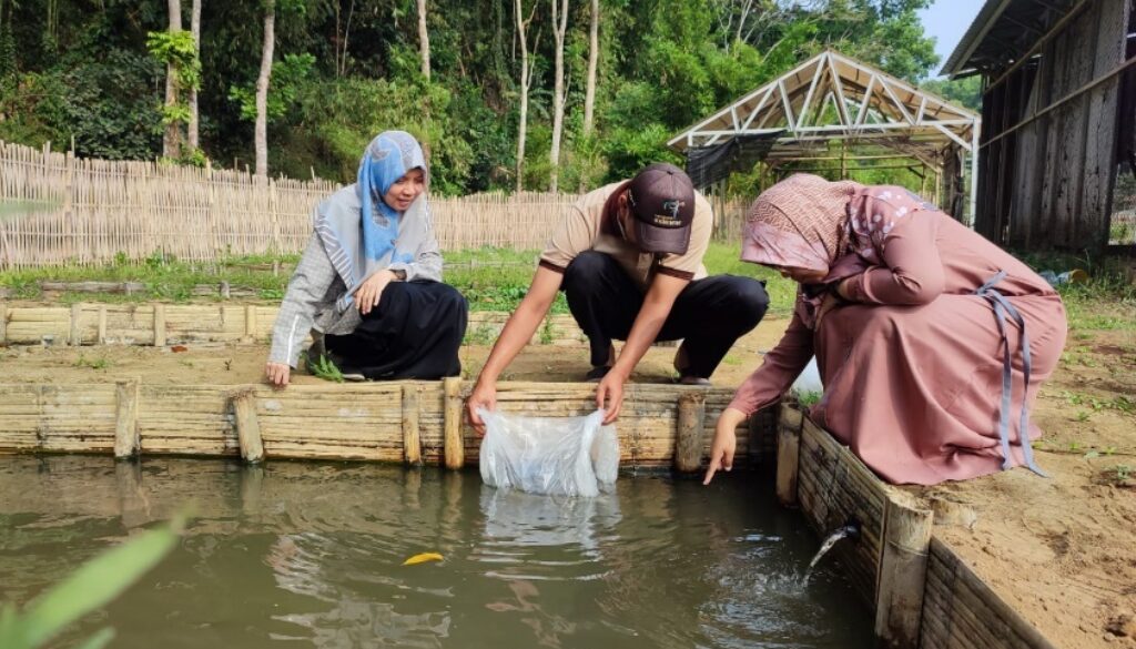 PKM HANI 2