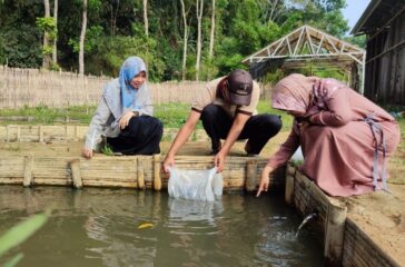 PKM HANI 2