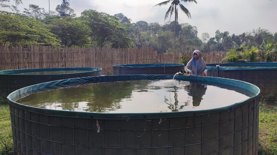 Pemberdayaan Masyarakat Pembudidaya Ikan di Boonpring, Turen, Kabupaten Malang Melalui Kemandirian Pakan Ikan 1