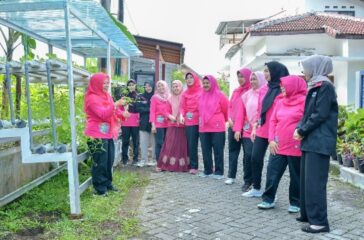 PMM 1