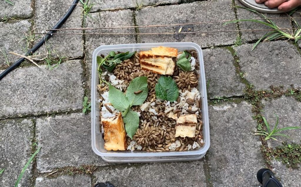 PMM 37 UMM Ubah Sampah Plastik Jadi Ecobrik-Sampah Organik Jadi Pupuk 5 PMM 37 UMM Ubah Sampah Plastik Jadi Ecobrik-Sampah Organik Jadi Pupuk 5