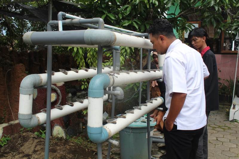 PMM 24 UMM Latih Siswa SDN Merjosari 3 Bertanam Sistem Hidroponik 3