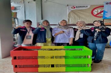pmm 50 1