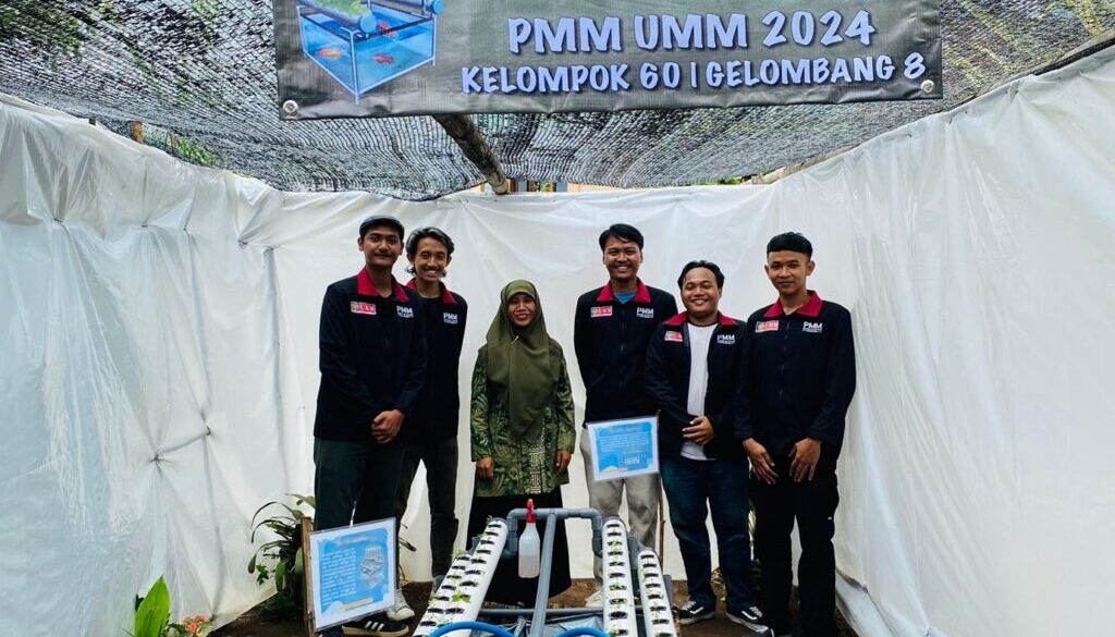 pmm 601 1