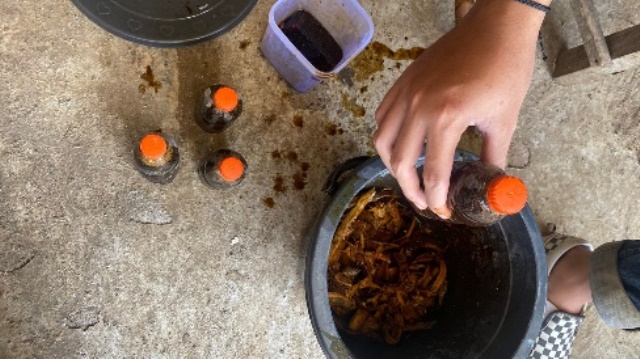 Solutif, PMM 86 UMM Ubah Limbah Kulit Singkong Jadi Pupuk Cair 2 Solutif, PMM 86 UMM Ubah Limbah Kulit Singkong Jadi Pupuk Cair 2