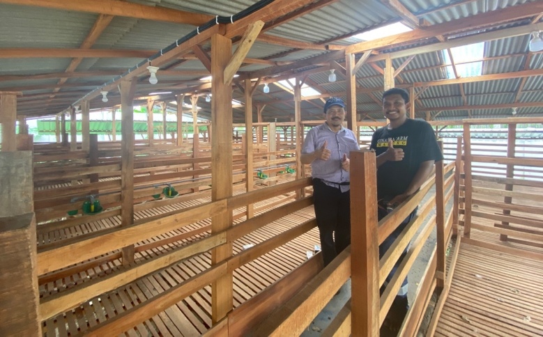 Tiga Pakar Peternakan UMM Penyuluhan Atasi Mortalitas-Morbiditas Cempe Kambing Perah di Kabupaten Malang 2