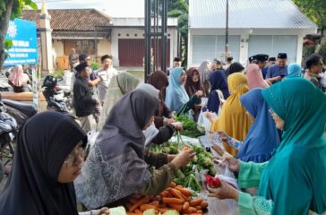 WhatsApp Image 2024-03-07 at 11.55.57