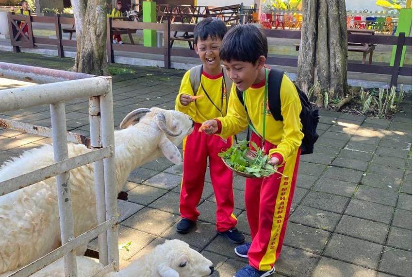 Siswa Md2 Elementary Outing Class Project Peternakan 1