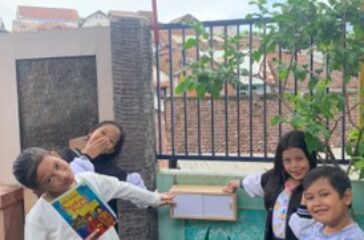pmm 1