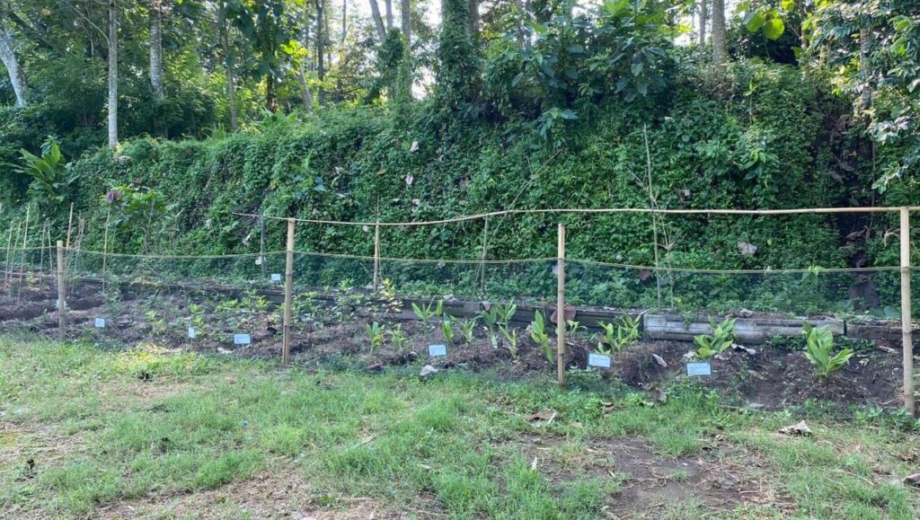 PMM 4 UMM  Gerakan Pilah Sampah Warga Talang Suko, Turen 3