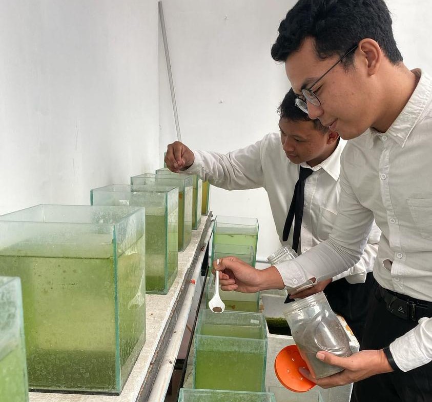 Bisnis Ikan Cupang Mahasiswa Akuakultur UMM Lolos P2MW Kemendikbudristek 2