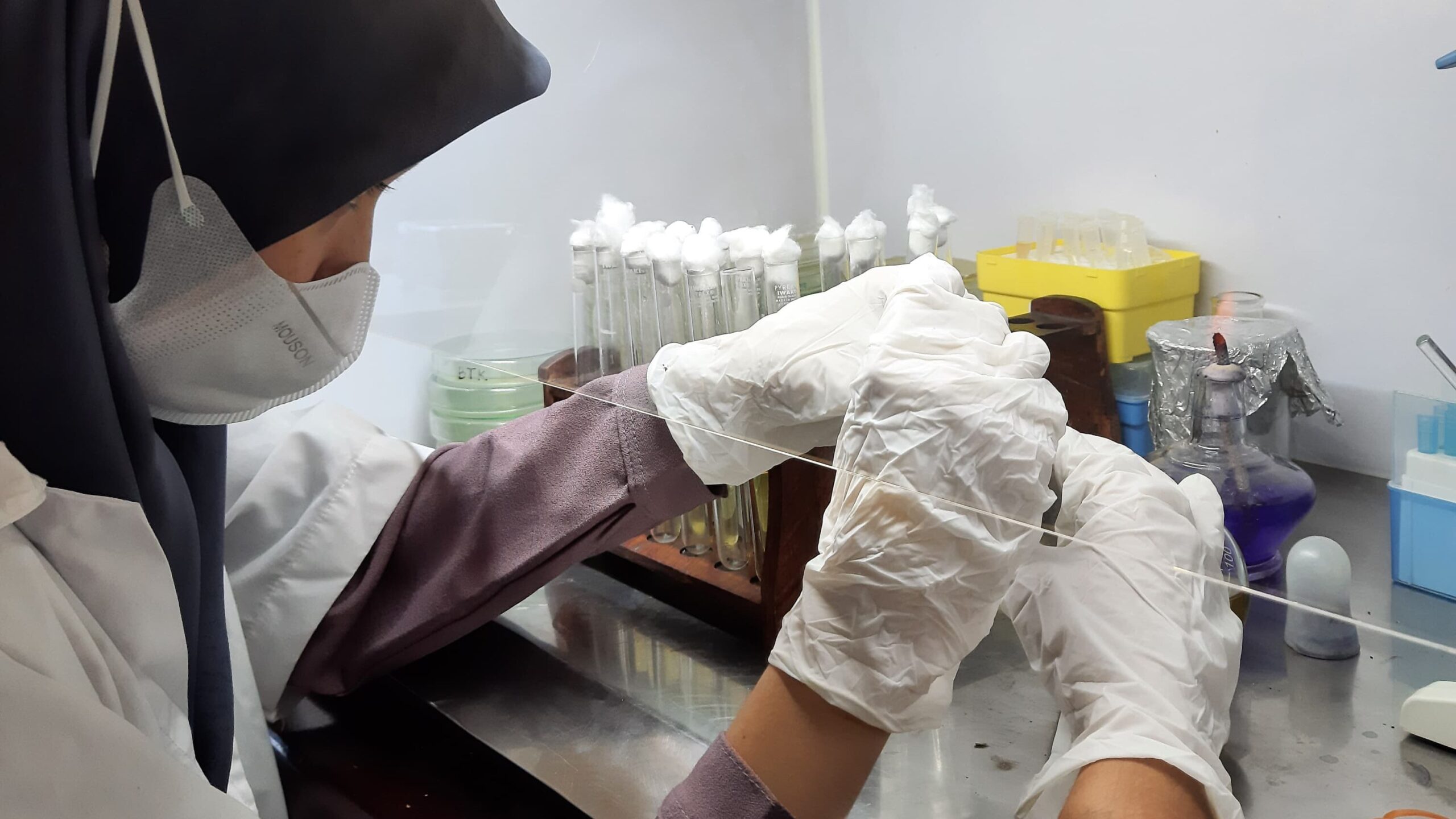 Atasi Virus Udang, Riset Arek Akuakultur UMM Lolos Pendanaan PKM Kemendikbud Ristek   3