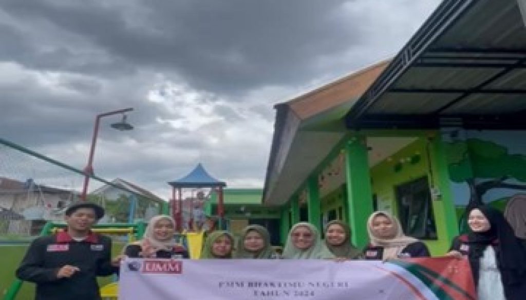 pmm ulart