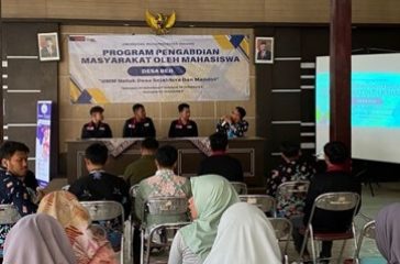 PMM 24 1