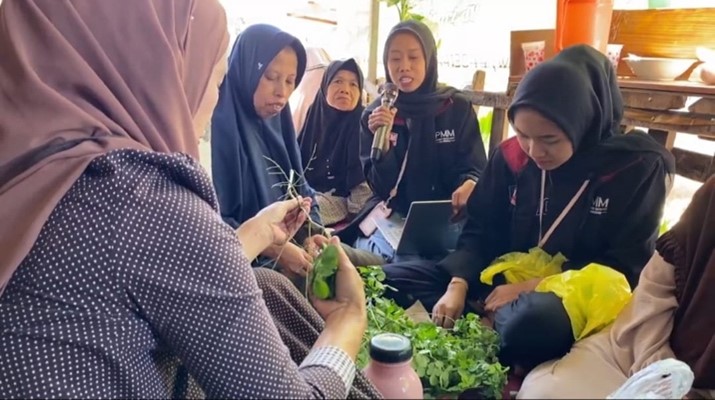 Inspiratif, PMM 8 UMM Bersama PKK RT 01/RW 02 Ngaglik Produksi Simplisia Kelor 1