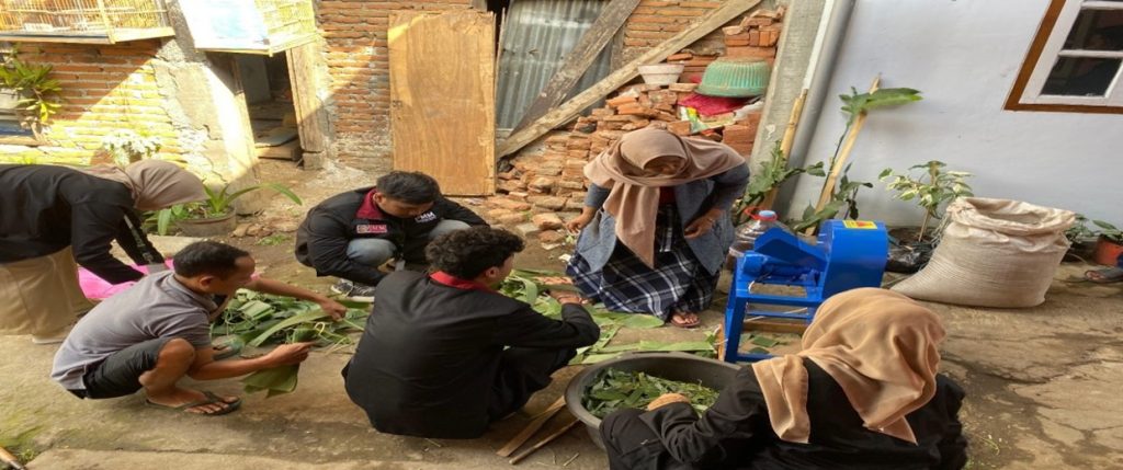 Solutif, Mahasiswa PMM 31 UMM  Ubah Limbah Lontong Jadi Pakan Ternak 1