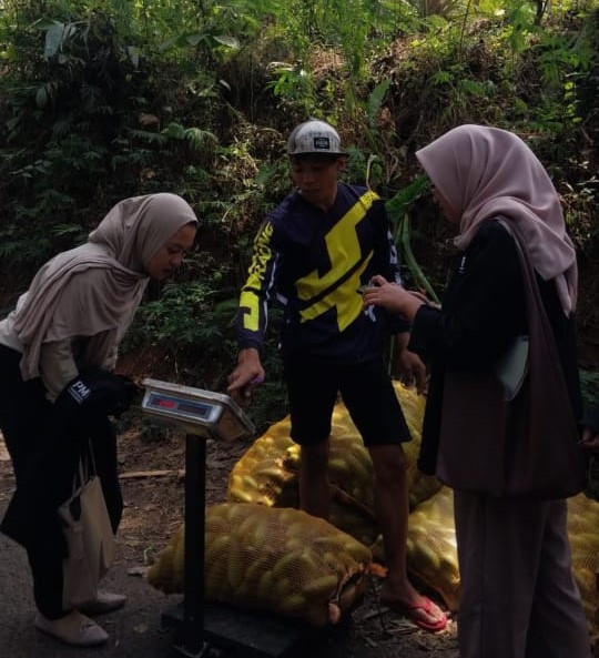 PMM 20 Gelombang 7 UMM Buka Akses Pasar Digital Platform dan Platon Bagi Petani Desa Gerbo 3