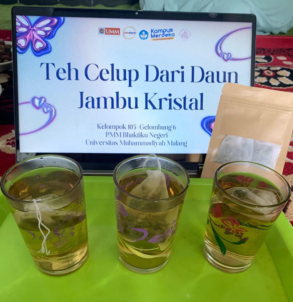 PMM 105 UMM Inovasi Daun Jambu Kristal Jadi Teh Celup    3