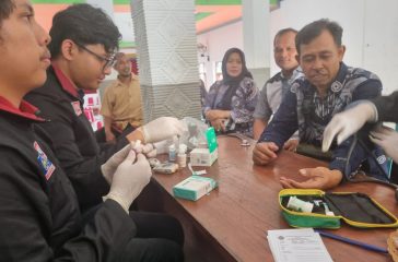 pmm dokter 3
