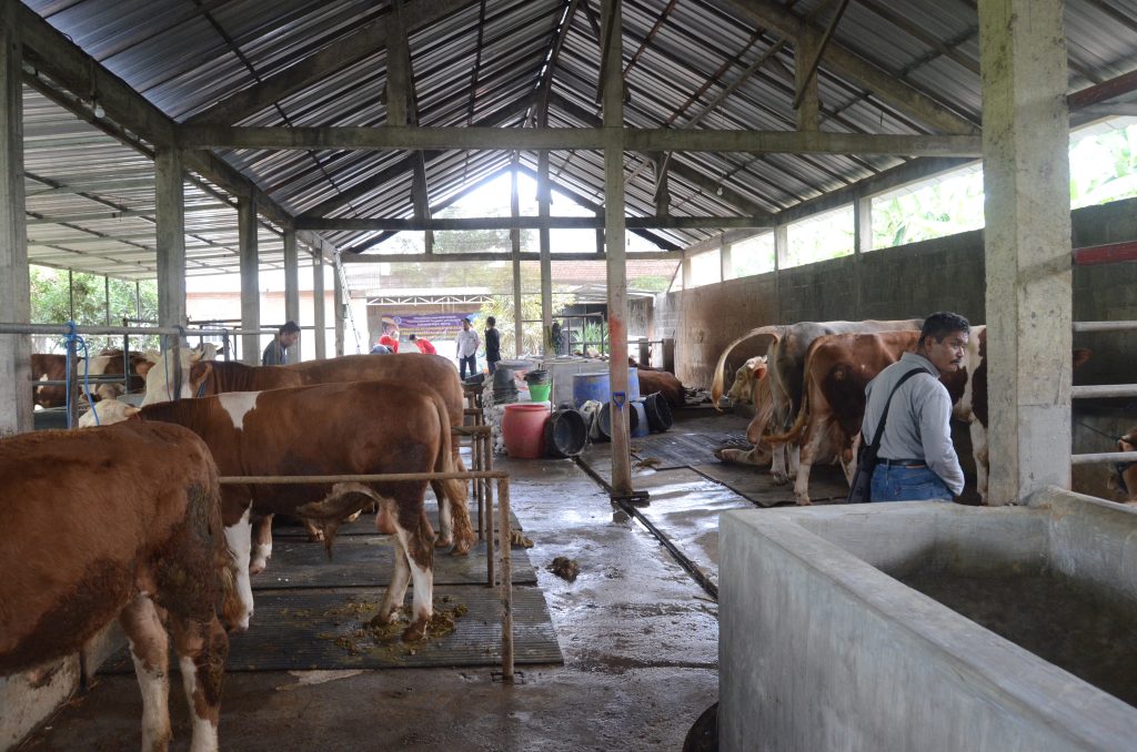 Tim PPM Polinema Aplikasi Solar Powered System Sebagai Smart Farming Kandang Sapi 1 Tim PPM Polinema Aplikasi Solar Powered System Sebagai Smart Farming Kandang Sapi 1