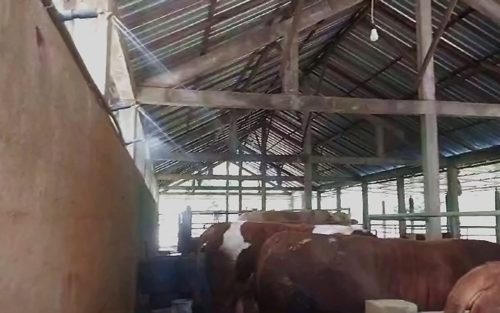 Tim PPM Polinema Aplikasi Solar Powered System Sebagai Smart Farming Kandang Sapi 4 Tim PPM Polinema Aplikasi Solar Powered System Sebagai Smart Farming Kandang Sapi 4
