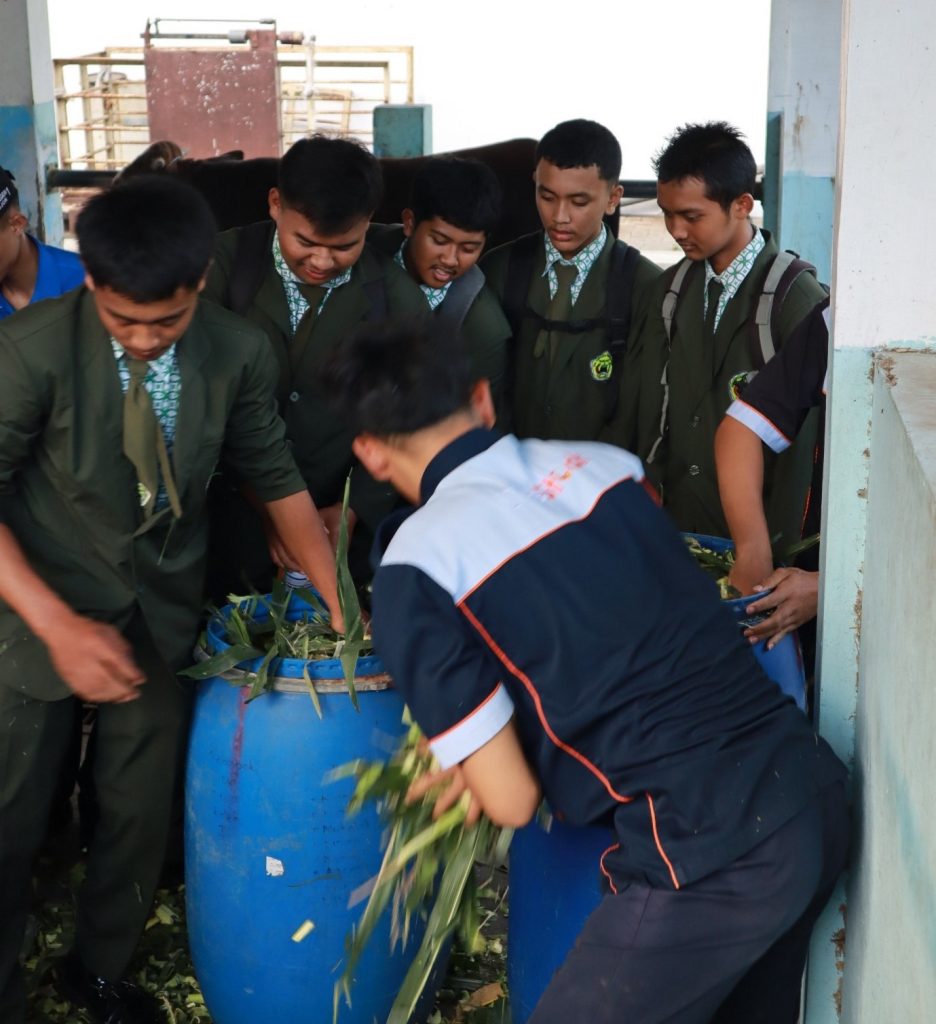 Tim Block Grant PKM Prodi Peternakan FPP UMM, Latih Siswa-Guru SMK Peternakan Pembuatan Silase Untuk Masa Depan Peternakan Berkelanjutan 2