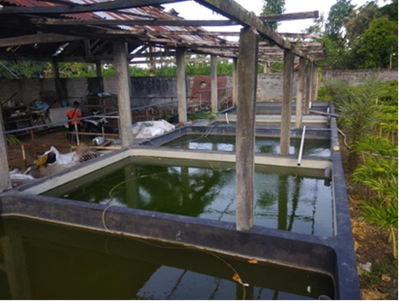 Pasang Instalasi Panel Surya, Tim PPM Polinema Support Petani Ikan Koi Tulungagung 1