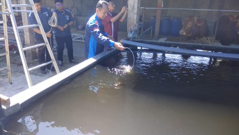 Pasang Instalasi Panel Surya, Tim PPM Polinema Support Petani Ikan Koi Tulungagung 5