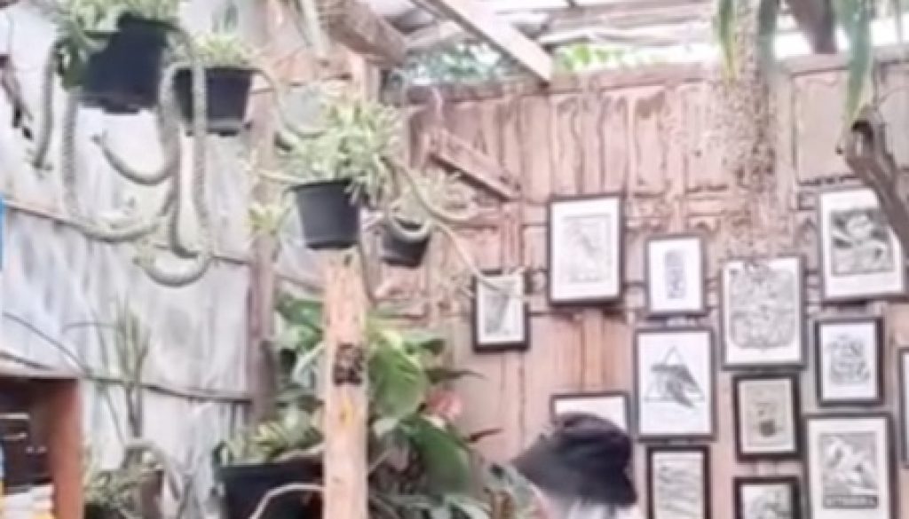 WhatsApp Image 2025-06-19 at 15.21.31