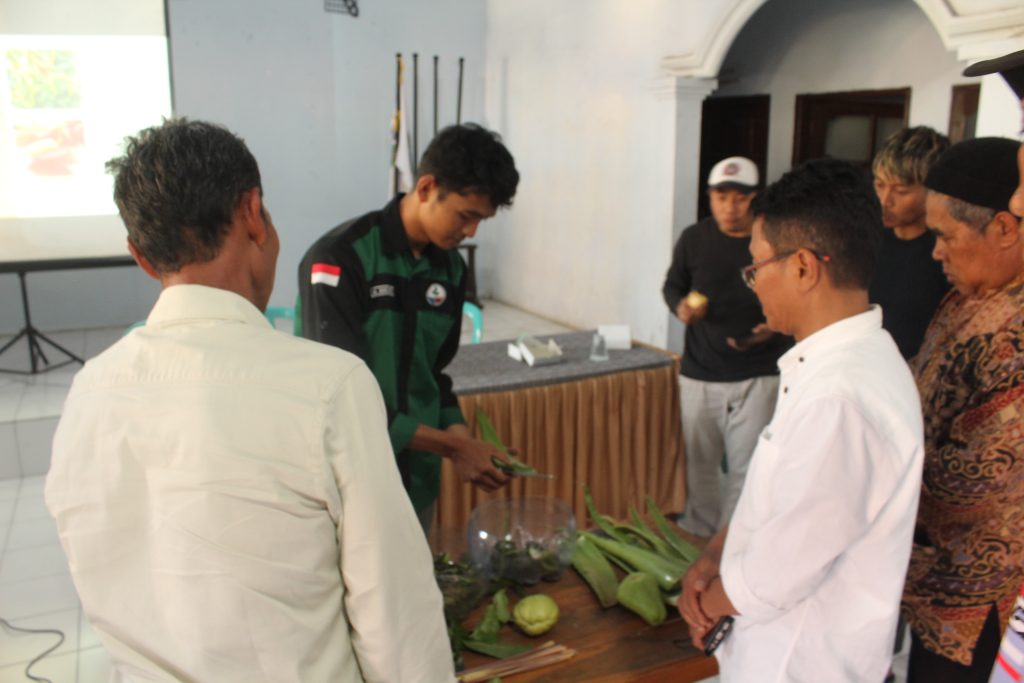 Program PPK Ormawa Kemendiktisaintek, HMPS Agroteknologi UMM-BPP Karangploso Kenalkan Pestisida Nabati Basmi Lalat Buah 1