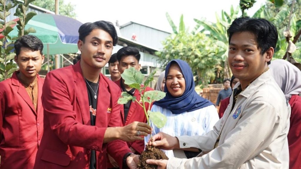Mahasiswa PMM UMM Renovasi, Penanaman, Serta Sosialisasi Manfaat dari Tanaman Asmantoga 1