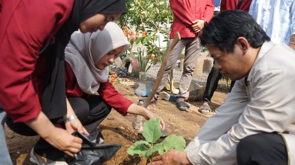 Mahasiswa PMM UMM Renovasi, Penanaman, Serta Sosialisasi Manfaat dari Tanaman Asmantoga 3