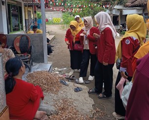 Tanam Lavender-Edukasi Warga, Mahasiswa PMM UMM Gandeng Jumantik Kalisat Jember Cegah DBD 2