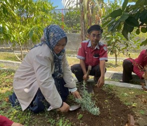 Tanam Lavender-Edukasi Warga, Mahasiswa PMM UMM Gandeng Jumantik Kalisat Jember Cegah DBD 3