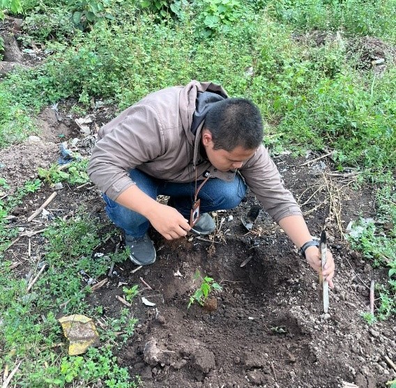 Mahasiswa UMM Dampingi Peternak Lumajang Olah Limbah Jadi Pupuk, Peternakan Konvensional Siap Go Digital 2