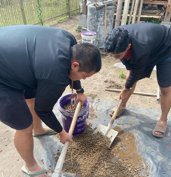 Mahasiswa UMM Dampingi Peternak Lumajang Olah Limbah Jadi Pupuk, Peternakan Konvensional Siap Go Digital 1